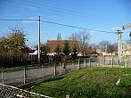 Třibřichy